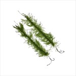 Set de 2 bucati riguri camuflate pentru pescuit, Regal Fish, fir textil vegetatie, 20 cm, carlig marime 6